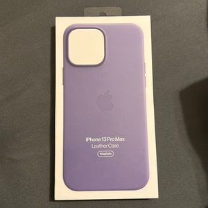 iPhone 13 Pro Max apple case